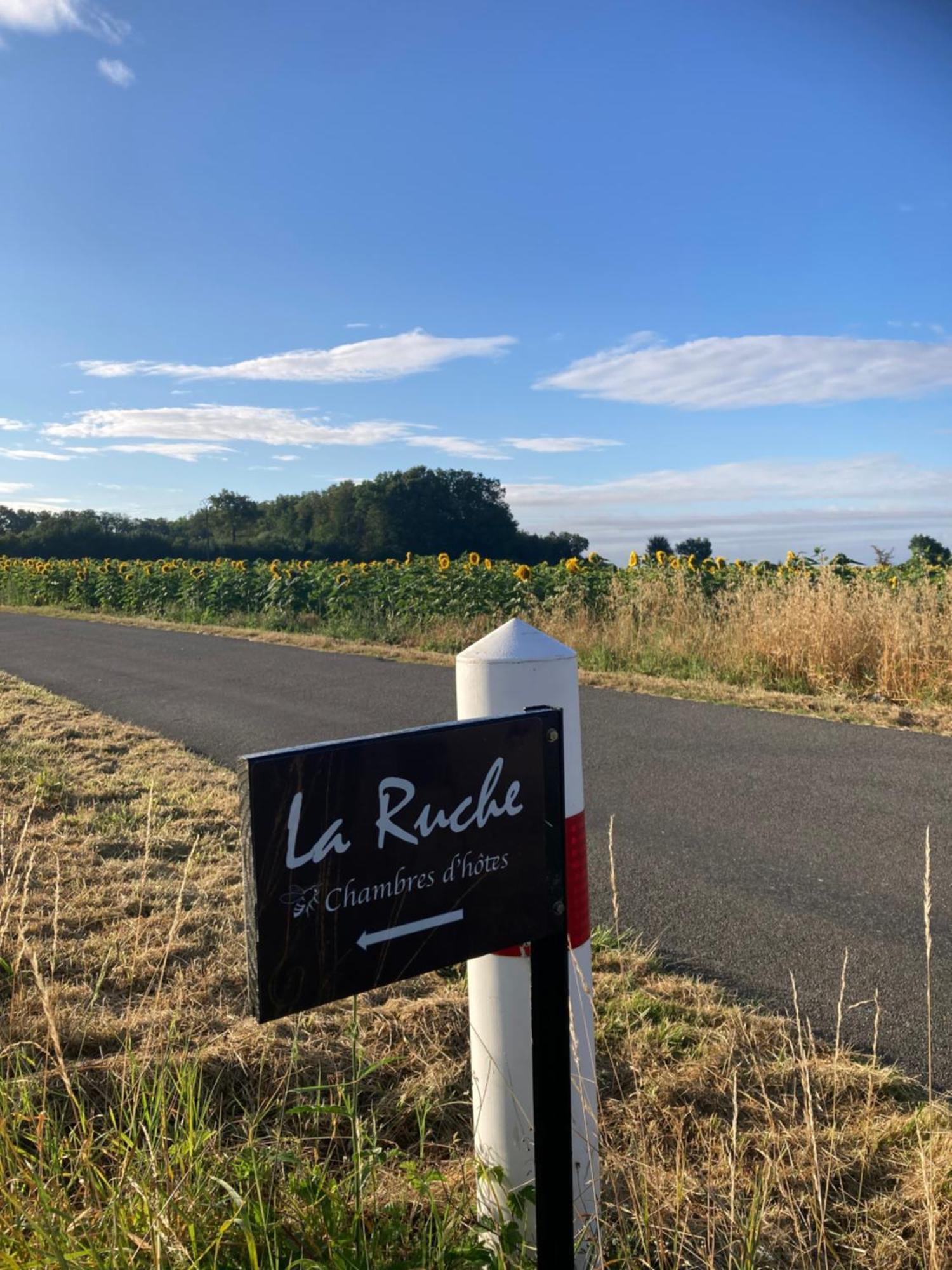 La Ruche Bed and Breakfast Paizay-Naudouin-Embourie Exteriör bild