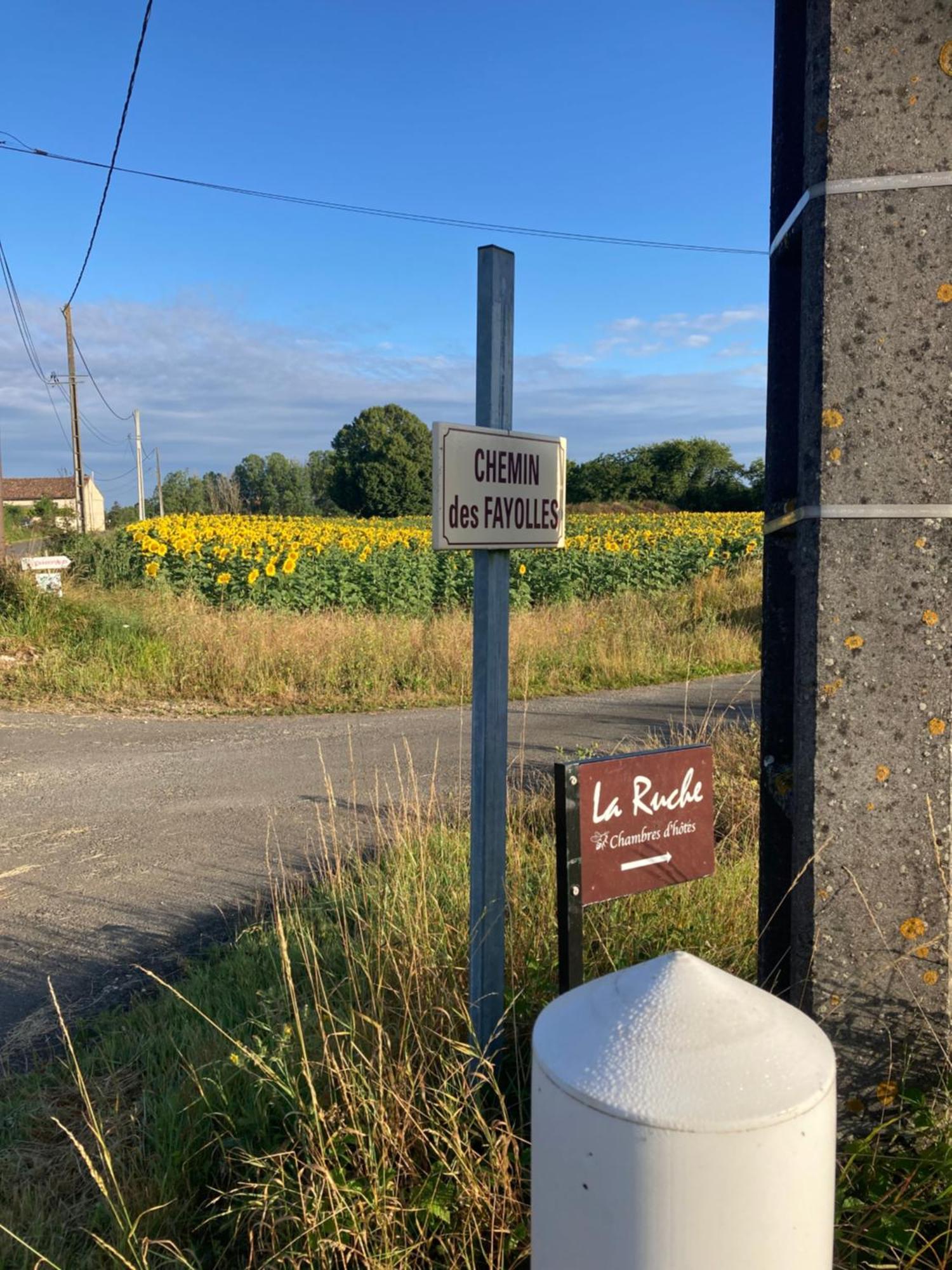 La Ruche Bed and Breakfast Paizay-Naudouin-Embourie Exteriör bild